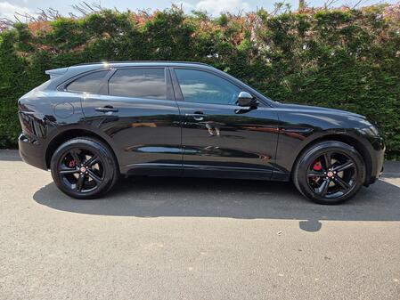 JAGUAR